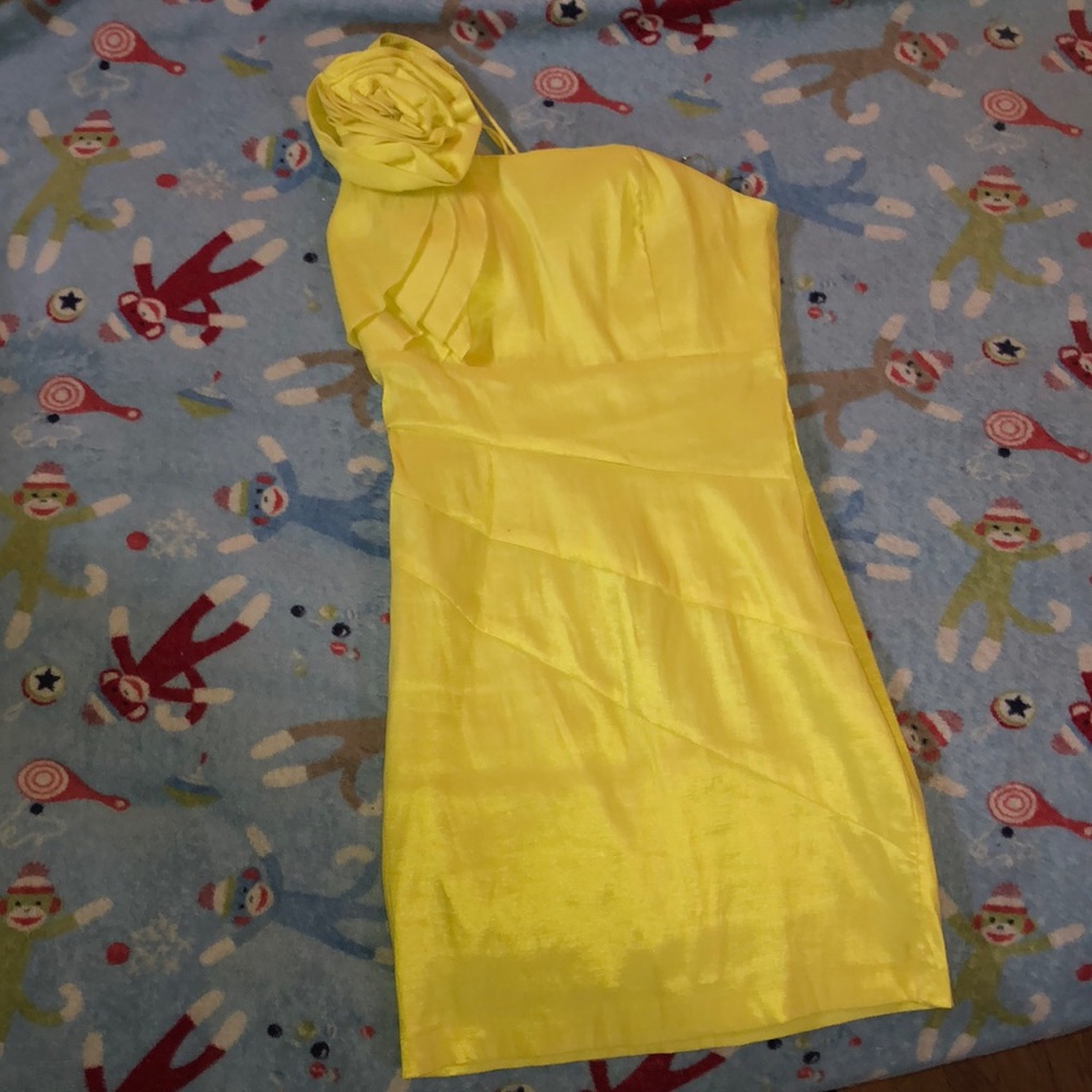 Daisy Mini Dress